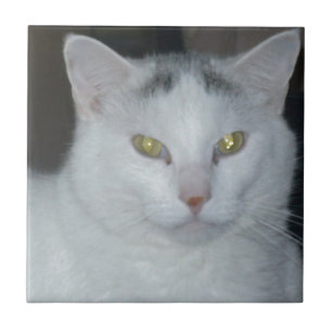 Carreau Cat Thoughts Chat blanc