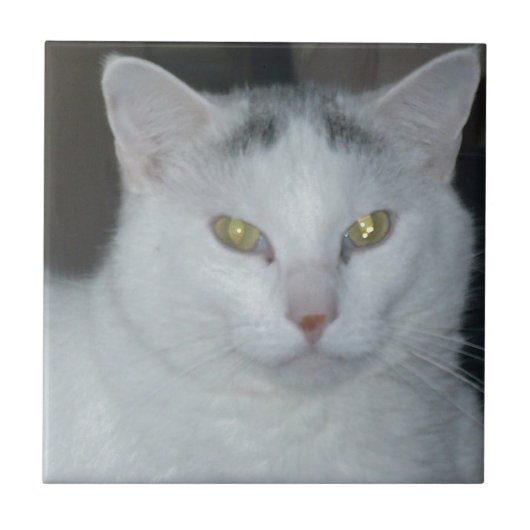 Carreau Cat Thoughts Chat blanc (Devant)