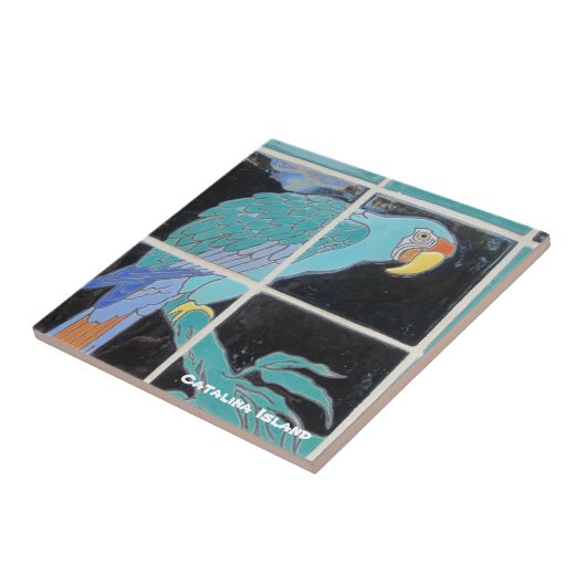 CARREAU CATALINA ISLAND CERAMIC TILE (Côté)