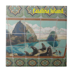 CARREAU CATALINA ISLAND CERAMIC TILE ISLAND AMIS