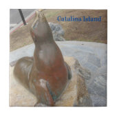 CARREAU CATALINA ISLAND CERAMIC TILE THE BEN (Devant)