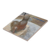 CARREAU CATALINA ISLAND CERAMIC TILE THE BEN (Côté)