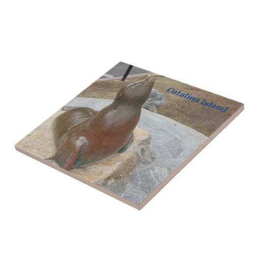 CARREAU CATALINA ISLAND CERAMIC TILE THE BEN (Côté)