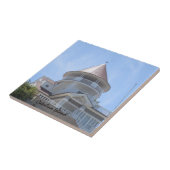 CARREAU CATALINA ISLAND CERAMIC TILE VUE DU HAUT (Côté)