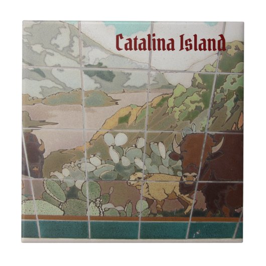 CARREAU CATALINA ISLAND TILE CÉRAMIQUE CATALINA BUFFALO (Devant)