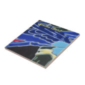 CARREAU CATALINA ISLAND TILE CÉRAMIQUE CATALINA COULEURS (Côté)