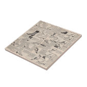 Carreau Catalogue de chaussures pour dames vintage - 1900s (Côté)