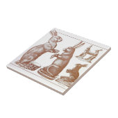 Carreau Catalogue de lapin de moule de chocolat (Côté)