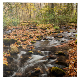 Carreau Cataloochee Creek NC Great Smoky Mountains