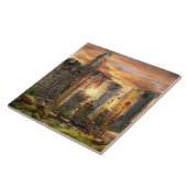 Carreau Catastrophe - Chicago, IL - Il faut promener le ch (Côté)