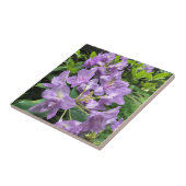 Carreau Catawbiense Boursault Rhododendrons, Oregon (Côté)