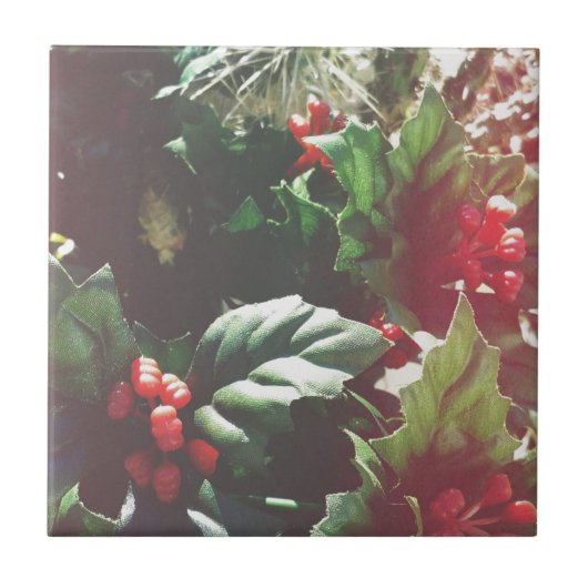 Carreau Catctus de Noël (Devant)