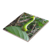 Carreau Caterpillar (Côté)