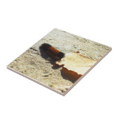 Carreau Caterpillar d'Ours-Wooly (Côté)