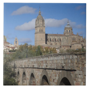 Carreau Cathédrales de Salamanque, vues du Puente Romano