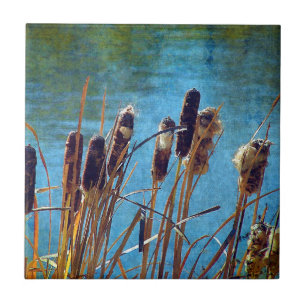 Carreau Cattails sur l'étang