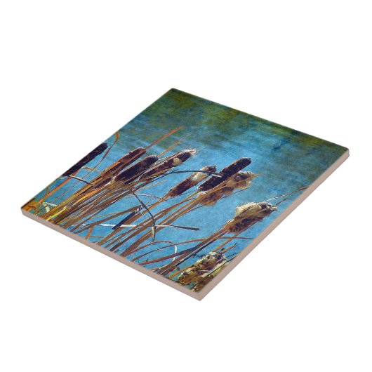 Carreau Cattails sur l'étang (Côté)