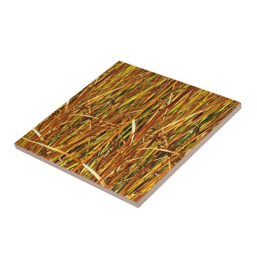 Carreau Cattements d'automne (Côté)