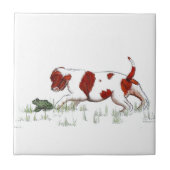 Carreau Cavalier King Charles Spaniel (Devant)