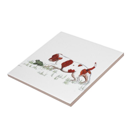 Carreau Cavalier King Charles Spaniel (Côté)