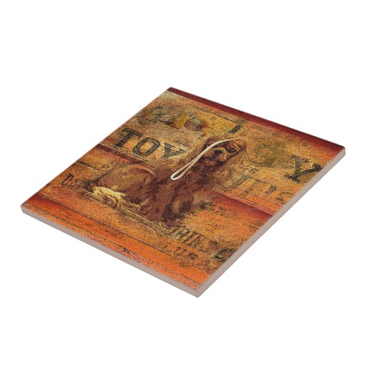 Carreau Cavalier King Charles Spaniel (Côté)