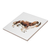 Carreau Cavalier King Charles Spaniel (Côté)