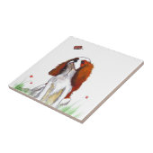 Carreau Cavalier King Charles Spaniel CKC (Côté)