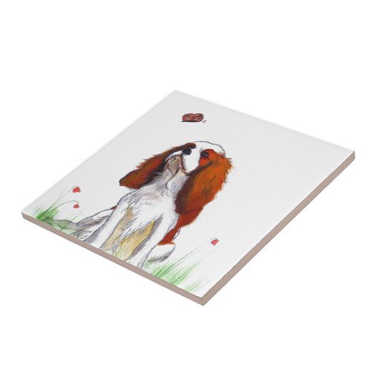 Carreau Cavalier King Charles Spaniel CKC (Côté)