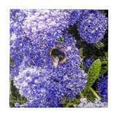 Carreau Ceanothus Flower Bee (Devant)