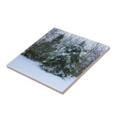 Carreau Cèdres neigeux (Côté)