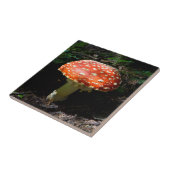 Carreau Central Cascades, État de Washington (Côté)