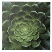 Carreau Centre de cactus (Devant)