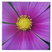 Carreau Centre du carrelage Cosmos (Devant)