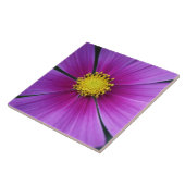 Carreau Centre du carrelage Cosmos (Côté)