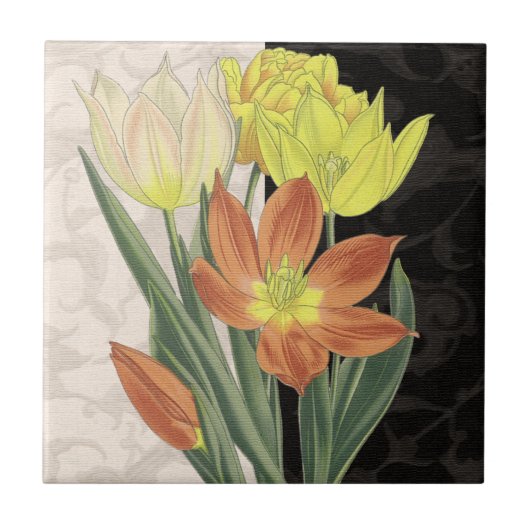 Carreau Centre II (Devant)