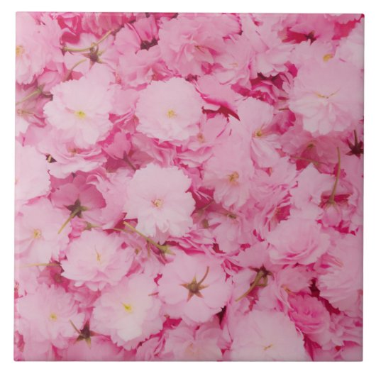 Carreau Ceramic Tile Pink Cherry Blossom Floral Botanical (Devant)