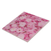 Carreau Ceramic Tile Pink Cherry Blossom Floral Botanical (Côté)