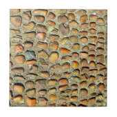 Carreau Ceramic tile! Unique Stone motif!! Ceramic Tile (Devant)