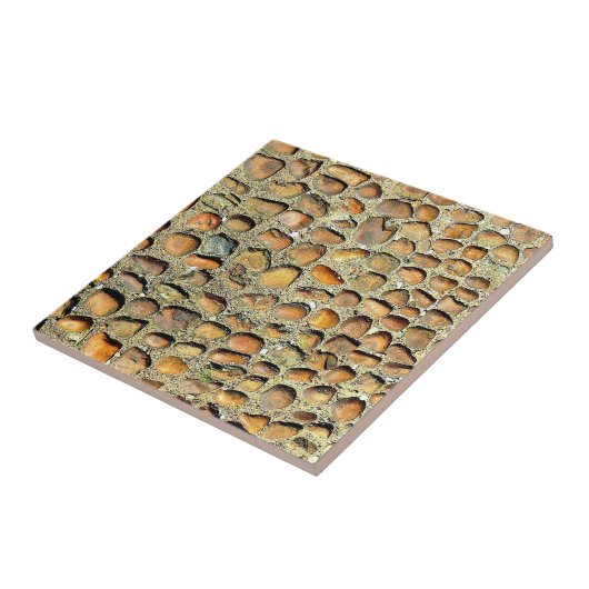 Carreau Ceramic tile! Unique Stone motif!! Ceramic Tile (Côté)