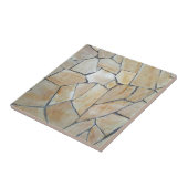 Carreau céramique à texture de pierre de marbre él (Côté)