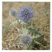 Carreau céramique chardon fleur bleue (Devant)