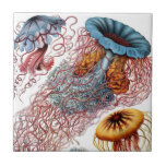 Carreau Céramique de méduses de Haeckel<br><div class="desc">Les images originales sont de la 16ème au début du 20ème siècle.  Illustrations colorées rares et uniques par des artistes de à leur poursuite pour découvrir la nature. Cette image des méduses des "formes d'art de nature" a été illustrée par Ernst Haeckel,  1834-1919.</div>