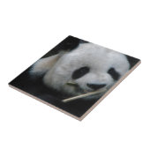 Carreau Céramique Panda Mignon Bamboo (Côté)