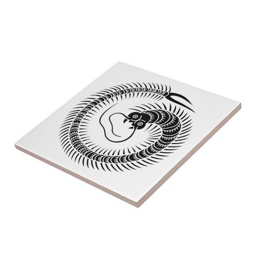 Carreau Cercle centipède (Côté)