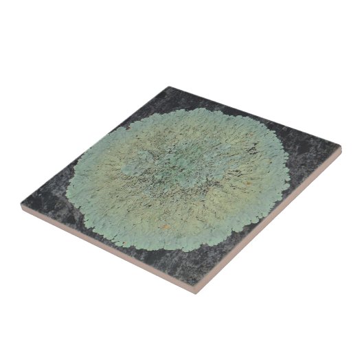 Carreau Cercle Lichen Mossy (Côté)