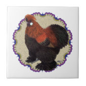 Carreau Cercle Silkie (Devant)