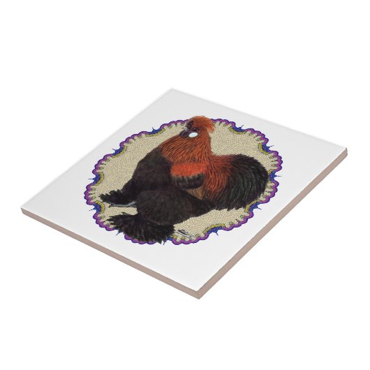 Carreau Cercle Silkie (Côté)