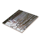 Carreau cerf à queue blanche dans la neige (Côté)