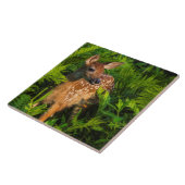 Carreau Cerf à queue blanche faon | Minnesota (Côté)