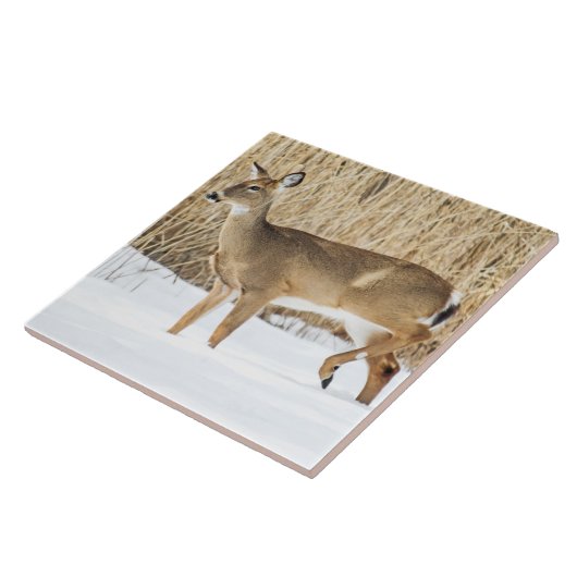 Carreau Cerf dans la neige (Côté)